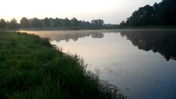 Mattina nebbiosa alba su un lago — Video Stock