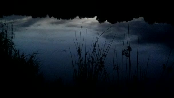 På en avlägsen lake före solnedgången — Stockvideo