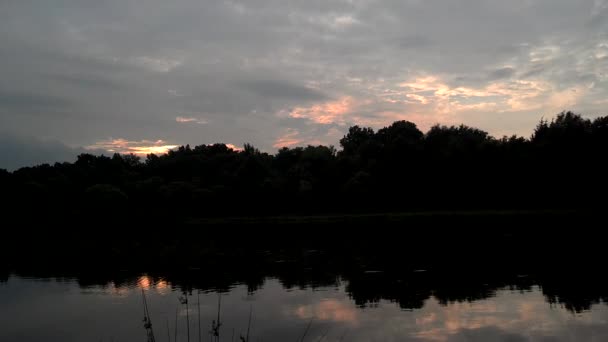 På en avlägsen lake före solnedgången — Stockvideo