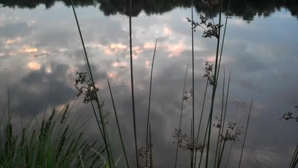 An einem abgelegenen See vor Sonnenuntergang — Stockvideo