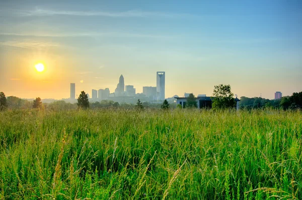 Looking at charlotte the queen city financial district from a di — Stock Photo, Image