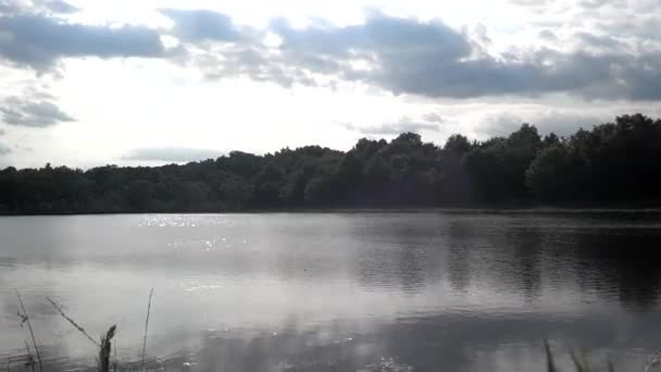 Dia nublado e natureza em torno do lago — Vídeo de Stock
