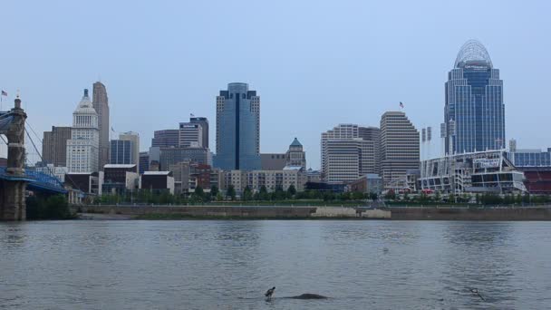 Skyline della città Cincinnati — 图库视频影像