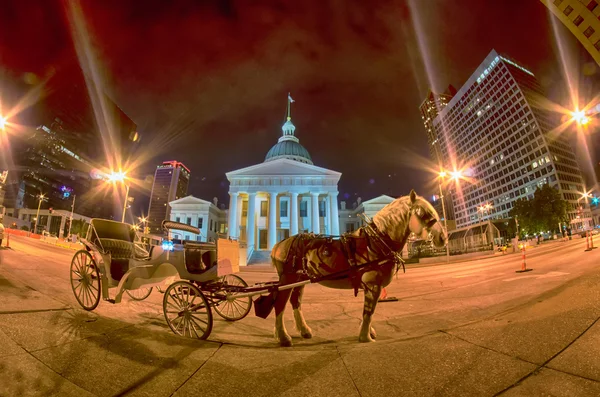 Saint louis city skyline at night — Stock Photo, Image