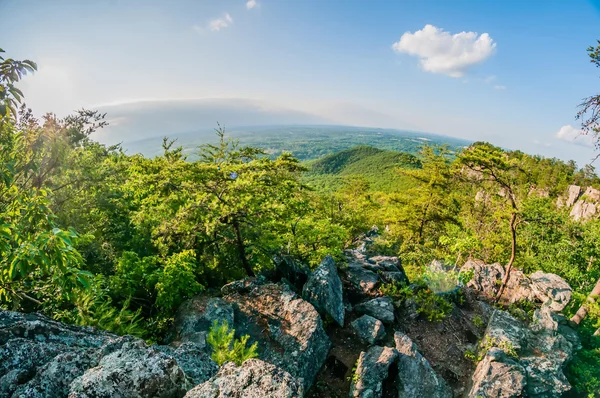 Schöne Ansichten aus der Luft von Crowders Berg in der Nähe von Gas — Stockfoto