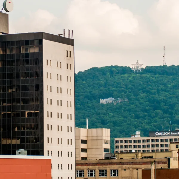 Roanoke virginia Panorama za slunečného dne — Stock fotografie