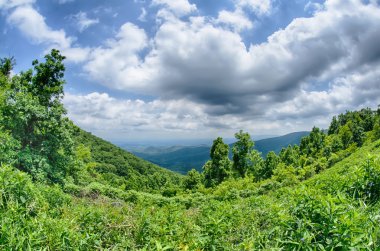 Batı Virginia'da blue ridge parkway boyunca bakış