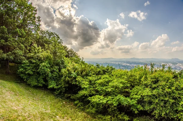 Roanoke stad gezien vanaf de molen berg ster in de schemering in virginia — Stockfoto