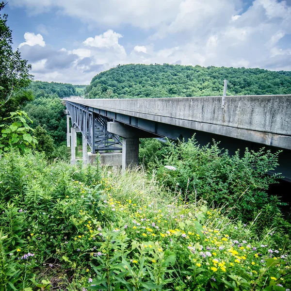 Carretera corre a través de montañas de Virginia Occidental — Foto de Stock