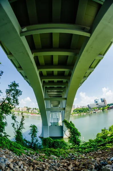 Henley köprüden tennessee Nehri knoxville — Stok fotoğraf