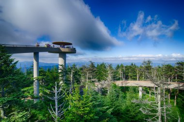 clingmans dome - büyük smoky Dağları Milli Parkı