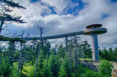 clingmans dome - büyük smoky Dağları Milli Parkı