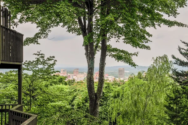 Asheville nc skyline à travers les arbres — Photo