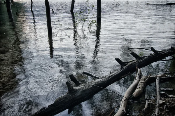 Paisagem no lago santeetlah grandes montanhas fumegantes — Fotografia de Stock