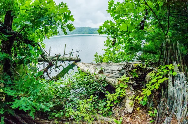 Lago santeetlah em grandes montanhas fumegantes carolina do norte — Fotografia de Stock