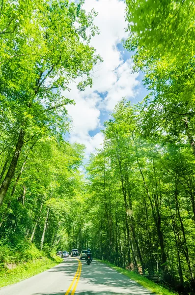 Staart van de draak schilderachtige weg in great smoky mountains — Stockfoto