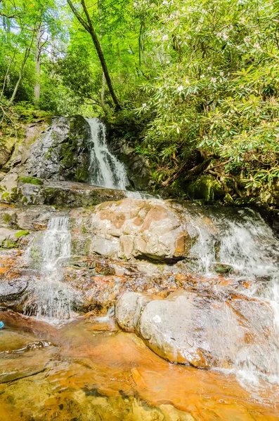 View of Laurel Falls in Great Smoky Mountains National Park — Stock Photo, Image