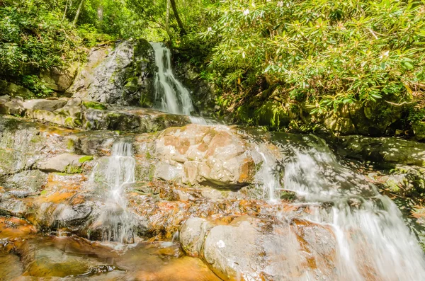 View of Laurel Falls in Great Smoky Mountains National Park — Stock Photo, Image