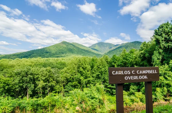 Carlos campbell com vista para grandes montanhas esfumaçadas — Fotografia de Stock