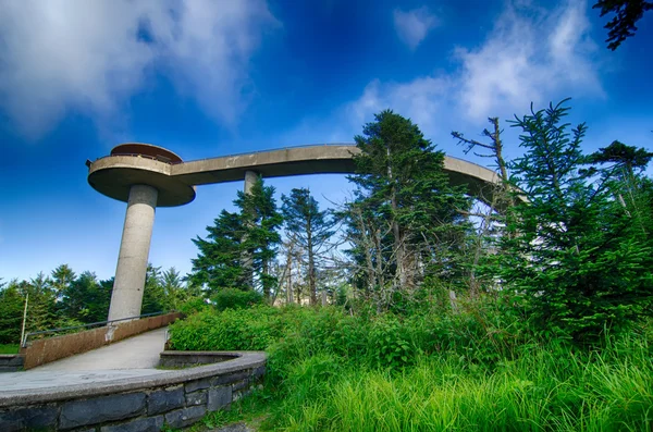 Clingmans Dome - Great Smoky Mountains National Park — Stock Photo, Image