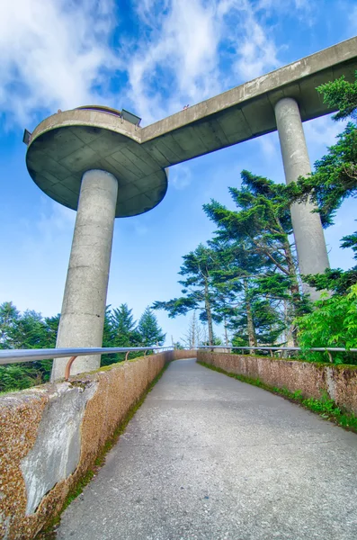 Clingmans dome - büyük smoky Dağları Milli Parkı — Stok fotoğraf