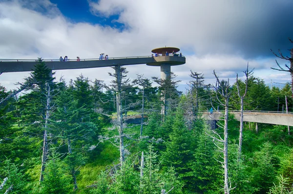 Clingmans dome - große rauchige Berge Nationalpark — Stockfoto