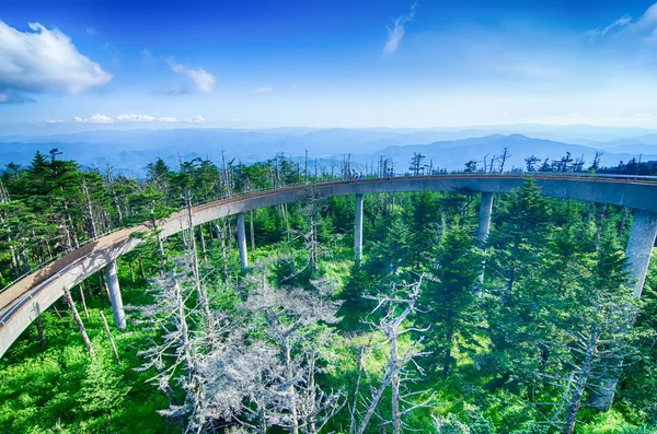 Купол Клингманса - Национальный парк Great Smoky Mountains — стоковое фото