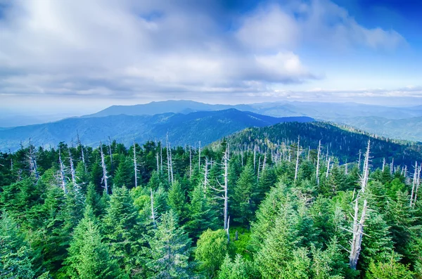 A wide view of the Great Smoky Mountains from the top of Clingma — Stock Photo, Image