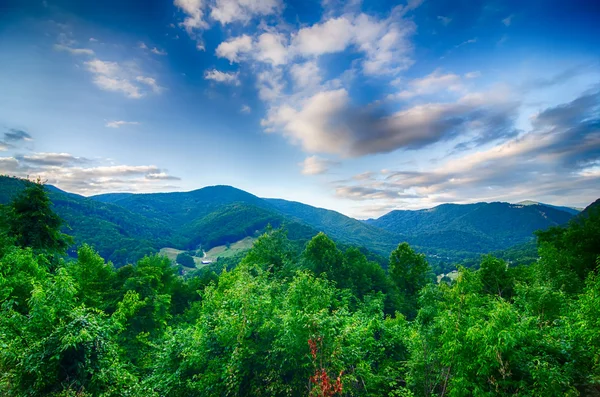 Údolí nedaleko maggie valley Severní Karolína — Stock fotografie