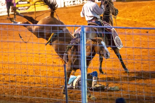 Cowboy Rodeó Bajnokság Este — Stock Fotó