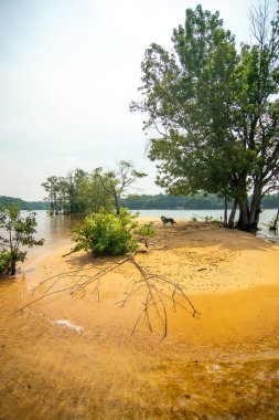 Güney Carolina 'da Hartwell Gölü' nde tekne gezisi.