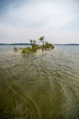 Güney Carolina 'da Hartwell Gölü' nde tekne gezisi.
