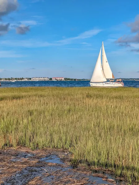 Scènes Charleston Sud Carolina Parc Riverain — Photo