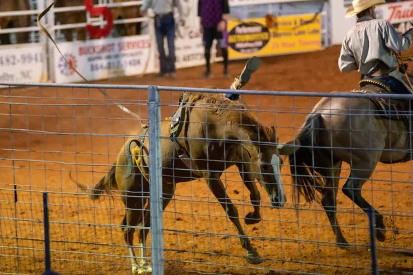 Cowboy Rodeó Bajnokság Este — Stock Fotó