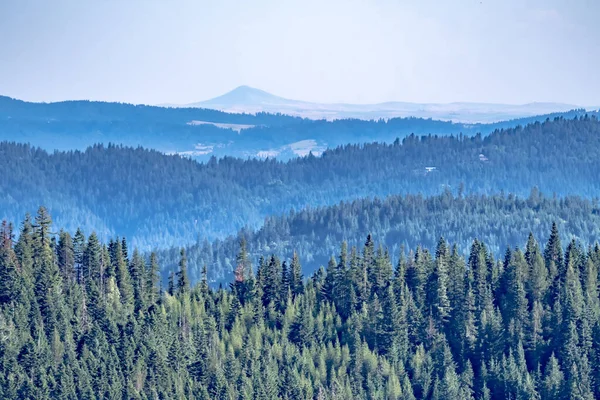 Belas Vistas Panorâmicas Natureza Montanha Spokane Estado Washington — Fotografia de Stock