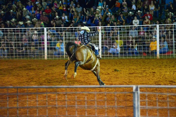 Cowboy Campeonato Rodeio Noite — Fotografia de Stock