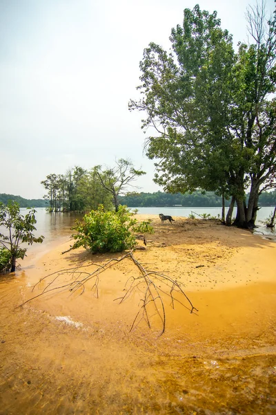 Güney Carolina 'da Hartwell Gölü' nde tekne gezisi.