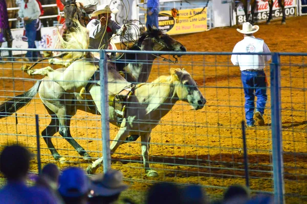 Cowboy Campionato Rodeo Sera — Foto Stock