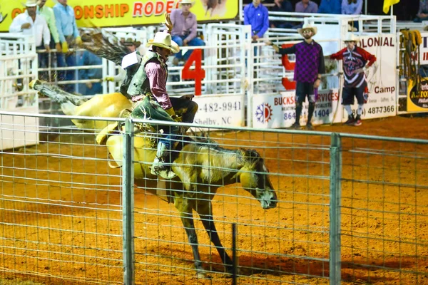 Cowboy Rodeo Mästerskapet Kvällen — Stockfoto