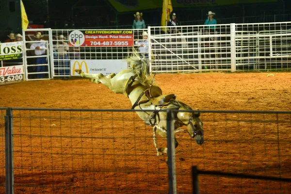 Cowboy Campeonato Rodeio Noite — Fotografia de Stock