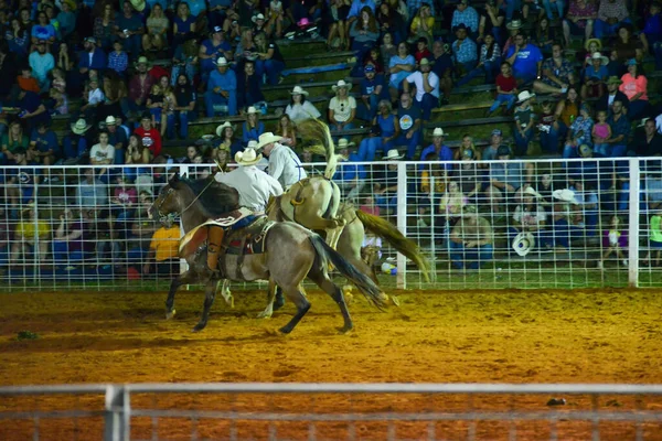 Cowboy Rodeó Bajnokság Este — Stock Fotó