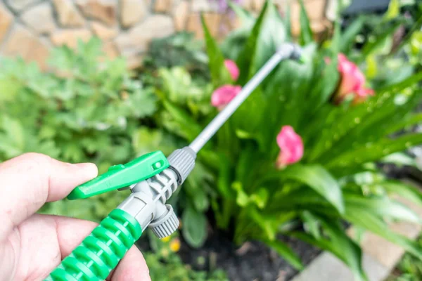 Spritzen Von Pestiziden Auf Pflanzen Rund Das Haus — Stockfoto