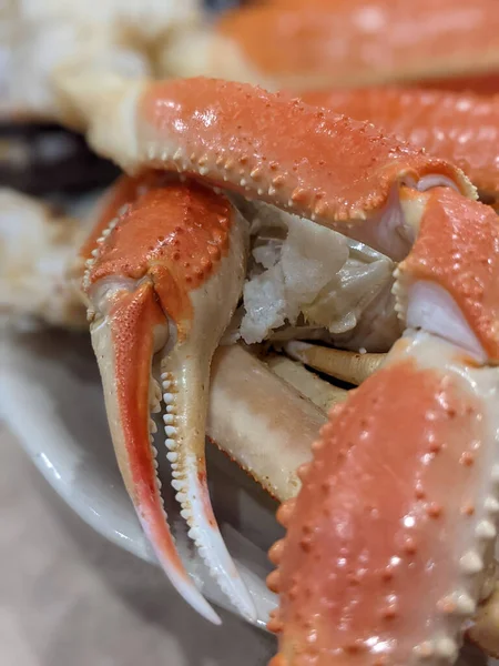 Roi Crabe Des Neiges Jambes Prêtes Manger Gros Plan — Photo