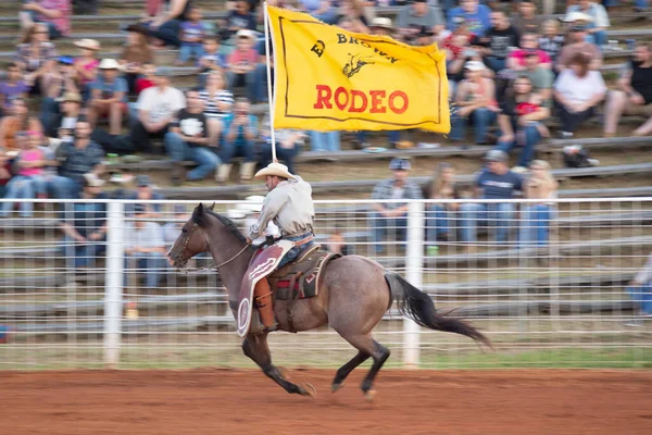 Campeonato Rodeo Vaquero Por Noche —  Fotos de Stock