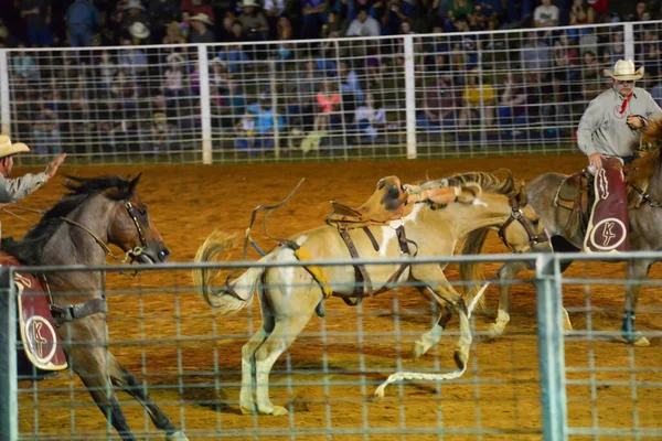 Cowboy Rodeo Mästerskapet Kvällen — Stockfoto