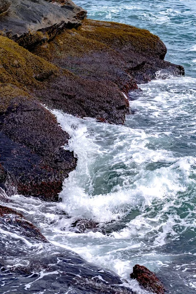 Wybrzeże Pobliżu Newport Rhode Island — Zdjęcie stockowe