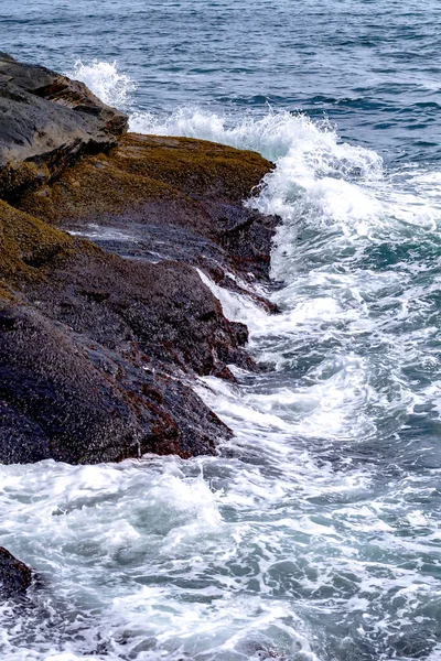 Wybrzeże Pobliżu Newport Rhode Island — Zdjęcie stockowe