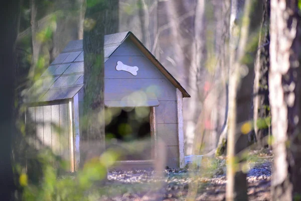 Hondenhok Het Bos — Stockfoto