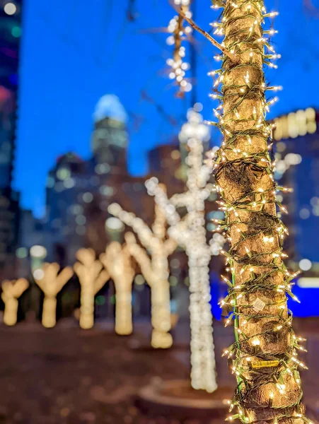 Charlotte Early Morning Decorated Holiday Lights — Stock Photo, Image