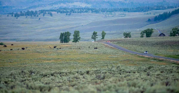 Nap Lenyugszik Lamar Völgy Felett Közel Yellowstone Nemzeti Park Északkeleti — Stock Fotó